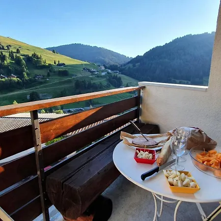 2 Pieces Au Pied Avec Balcon Et Garage A La Clusaz, Proche Des Pistes Et Du Ski-bus - Fr-1-459-169 *
